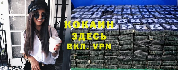 метадон Алексин